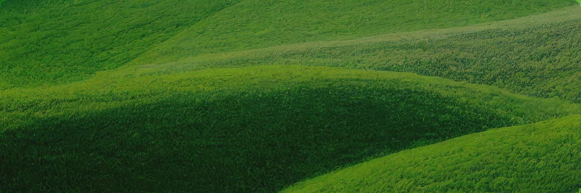 尊龙凯时人生就是博(中国区)官方网站